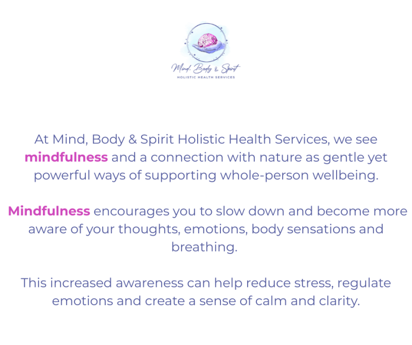 Mindfulness Description